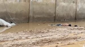 Man, cow electrocuted in Accra after Friday rains