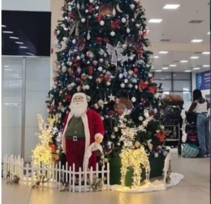Parliament’s Roads & Transport C’ttee seeks clarity on KIA procurement of Christmas trees